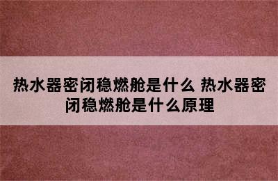 热水器密闭稳燃舱是什么 热水器密闭稳燃舱是什么原理